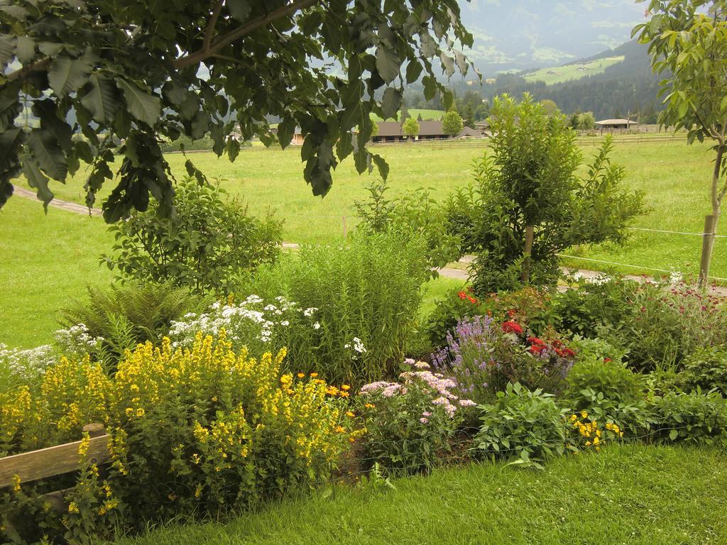 Weberhof Hopfgarten هوبفغراتن إم بريكسنتال المظهر الخارجي الصورة